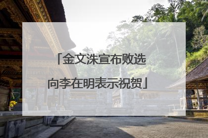 金文洙宣布败选 向李在明表示祝贺